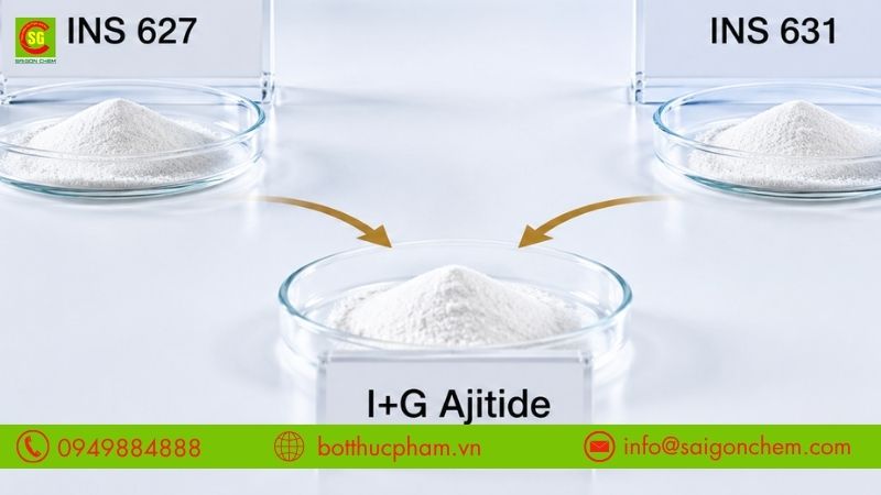 I+G Ajitide thực chất l&agrave; g&igrave;?